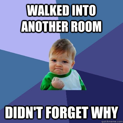 Walked into another room didn't forget why  Success Kid
