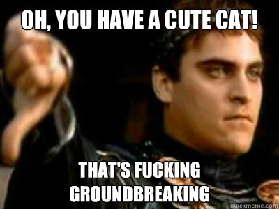 oh, you have a cute cat! that's fucking groundbreaking  Downvoting Roman