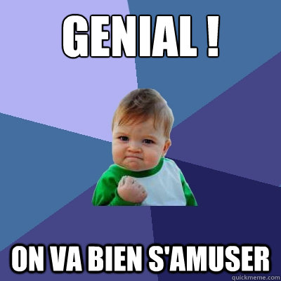 genial ! On va bien s'amuser  Success Kid