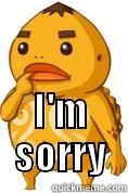  I'M SORRY Misc