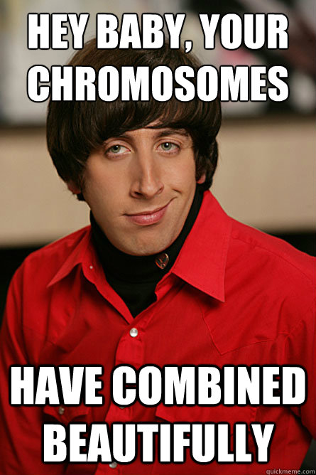 HEY BABY, YOUR CHROMOSOMES HAVE COMBINED BEAUTIFULLY - HEY BABY, YOUR CHROMOSOMES HAVE COMBINED BEAUTIFULLY  Pickup Line Scientist