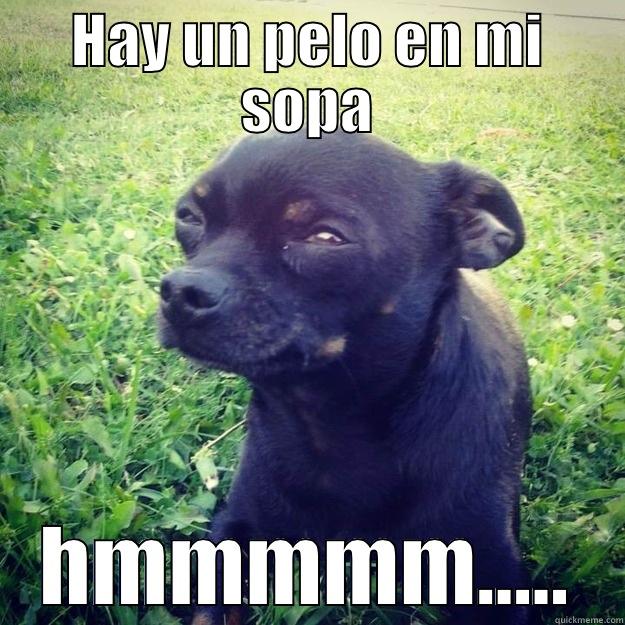 HAY UN PELO EN MI SOPA HMMMMM..... Skeptical Dog