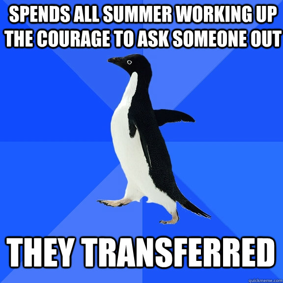 spends all summer working up the courage to ask someone out they transferred  Socially Awkward Penguin