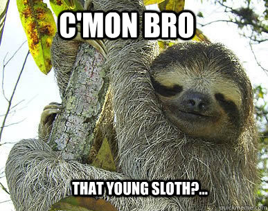 C'mon Bro That young sloth?...  