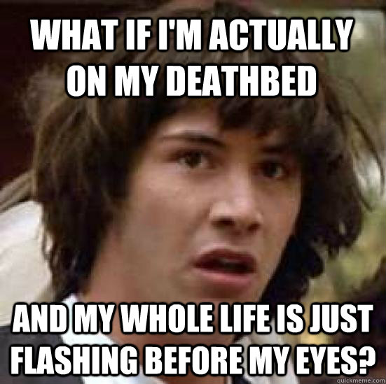 What if I'm actually on my deathbed and my whole life is just flashing before my eyes?  conspiracy keanu