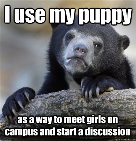 I use my puppy  as a way to meet girls on campus and start a discussion  - I use my puppy  as a way to meet girls on campus and start a discussion   Confession Bear
