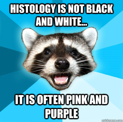 HISTOLOGY IS NOT BLACK AND WHITE... IT IS OFTEN PINK AND PURPLE  Lame Pun Coon