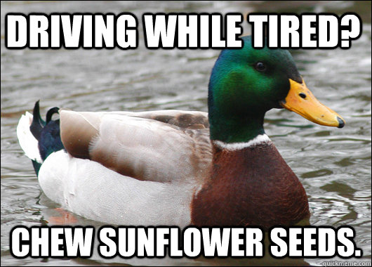 Driving while tired? Chew sunflower seeds.  Actual Advice Mallard