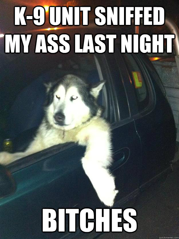 k-9 unit sniffed my ass last night bitches  Mean Dog