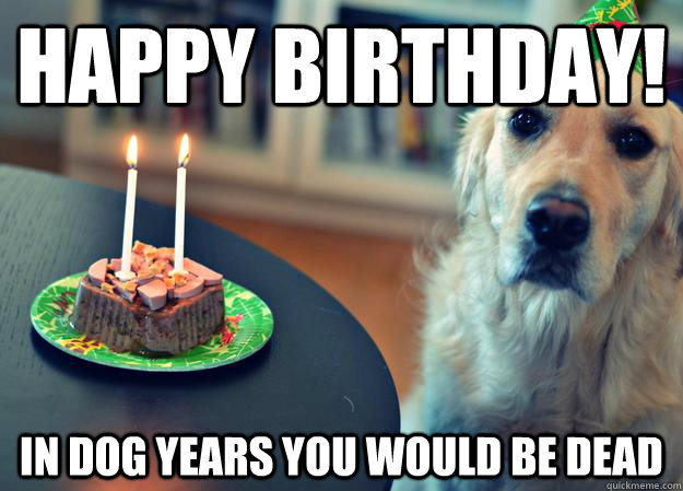 Happy Birthday! in dog years you would be dead - Happy Birthday! in dog years you would be dead  Sad Birthday Dog