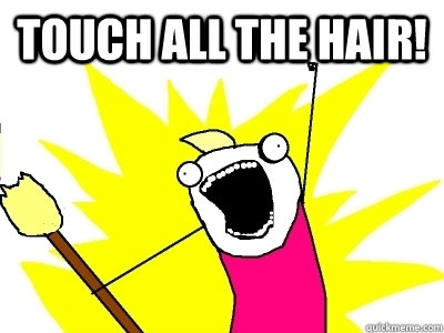 TOUCH ALL THE HAIR!   