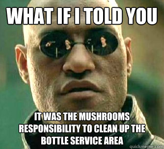 what if i told you It was the mushrooms responsibility to clean up the bottle service area  Matrix Morpheus