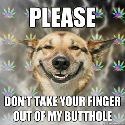 PLEASE DON'T TAKE YOUR FINGER OUT OF MY BUTTHOLE  Stoner Dog