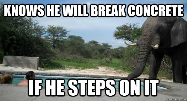 Knows he will break concrete if he steps on it - Knows he will break concrete if he steps on it  Good Guy Elephant