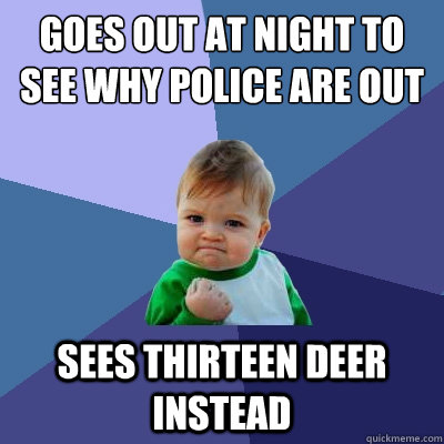 Goes out at night to see why police are out sees thirteen deer instead - Goes out at night to see why police are out sees thirteen deer instead  Success Kid