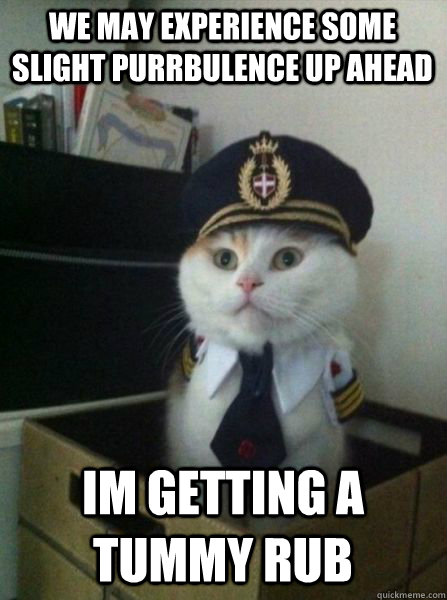 we may experience some slight purrbulence up ahead im getting a tummy rub  Captain kitteh