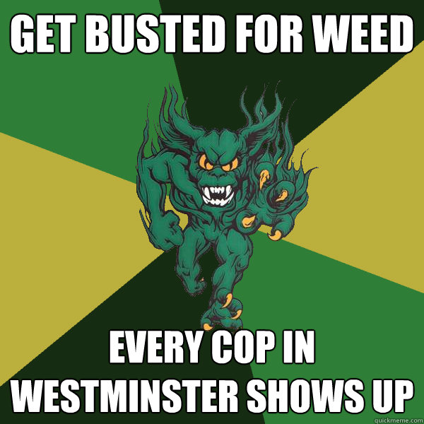get busted for weed  every cop in westminster shows up  Green Terror