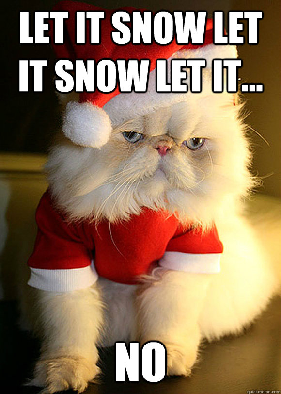 Let it snow let it snow let it... no  Angry Cat