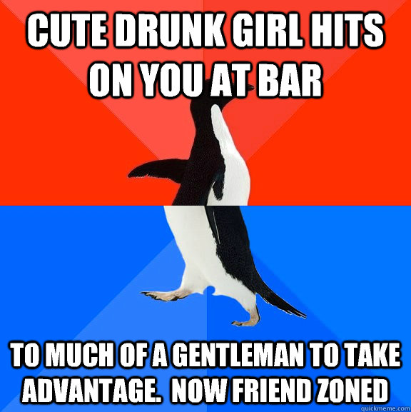 Cute drunk girl hits on you at bar To much of a gentleman to take advantage.  Now friend zoned  Socially Awesome Awkward Penguin