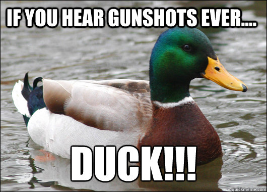 If you hear gunshots ever.... DUCK!!!  Actual Advice Mallard