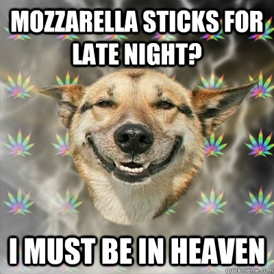Mozzarella sticks for late night? I must be in heaven  Stoner Dog