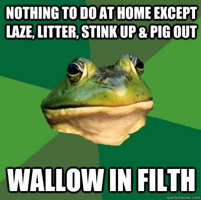 nothing to do at home except laze, litter, stink up & pig out wallow in filth  Foul Bachelor Frog