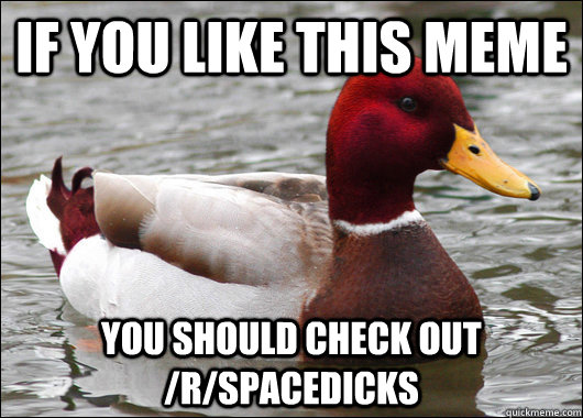 If you like this meme You should check out /r/spacedicks  Malicious Advice Mallard