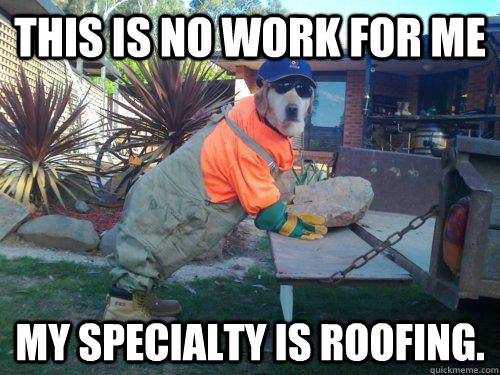 this is no work for me my specialty is roofing. - this is no work for me my specialty is roofing.  roofing dog