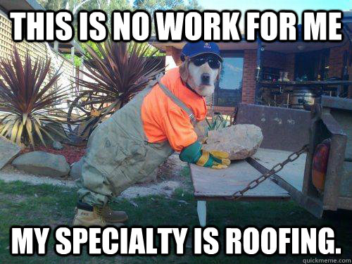 this is no work for me my specialty is roofing.  roofing dog
