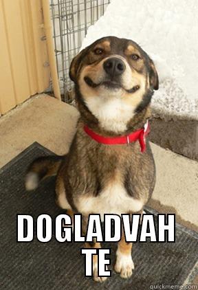 DOGLADVAH TE Good Dog Greg