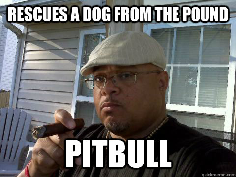 Rescues a dog from the pound Pitbull  Ghetto Good Guy Greg
