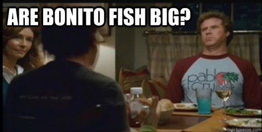 are bonito fish big? - Misc - quickmeme