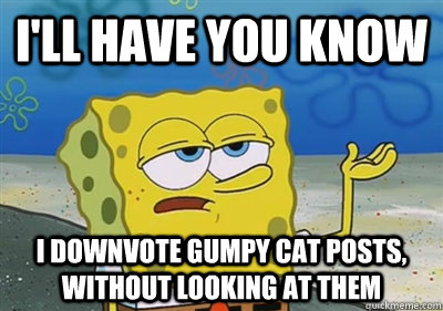 I'll Have you know I downvote gumpy cat posts, without looking at them  sponge