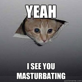 yeah i see you masturbating  Ceiling Cat
