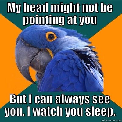 Sleeping parrot. - MY HEAD MIGHT NOT BE POINTING AT YOU BUT I CAN ALWAYS SEE YOU. I WATCH YOU SLEEP. Paranoid Parrot