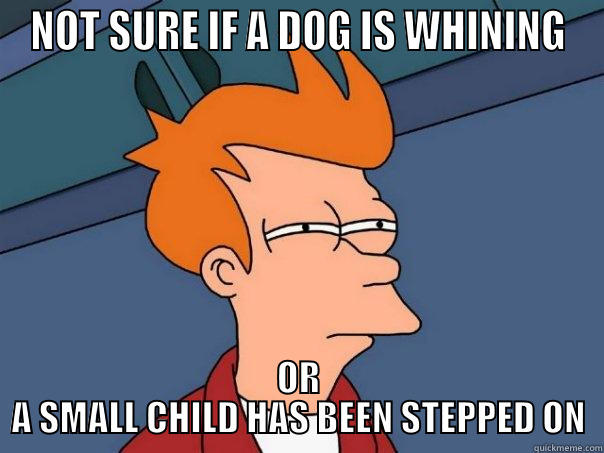 NOT SURE IF A DOG IS WHINING OR A SMALL CHILD HAS BEEN STEPPED ON Futurama Fry
