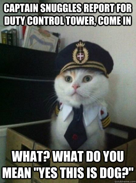 captain snuggles report for duty control tower, come in  what? what do you mean 