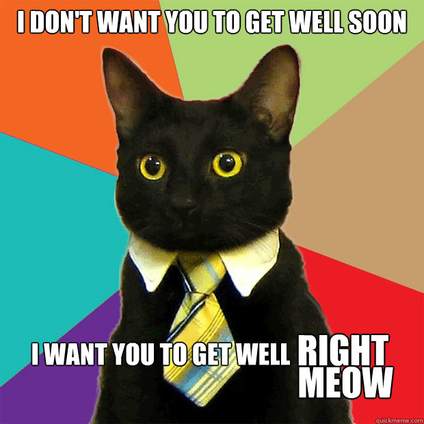 I don't want you to get well soon I want you to get well right meow  Business Cat