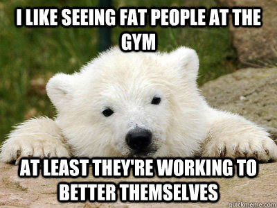 i like seeing fat people at the gym at least they're working to better themselves  Popular Opinion Polar Bear