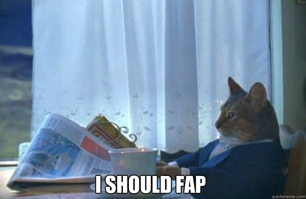I should fap  Sophisticated Cat