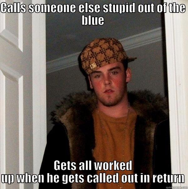 CALLS SOMEONE ELSE STUPID OUT OF THE BLUE GETS ALL WORKED UP WHEN HE GETS CALLED OUT IN RETURN Scumbag Steve