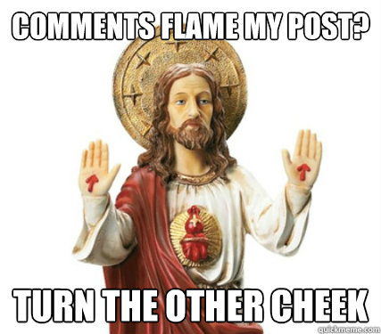 comments flame my post? turn the other cheek - comments flame my post? turn the other cheek  Redditor Jesus