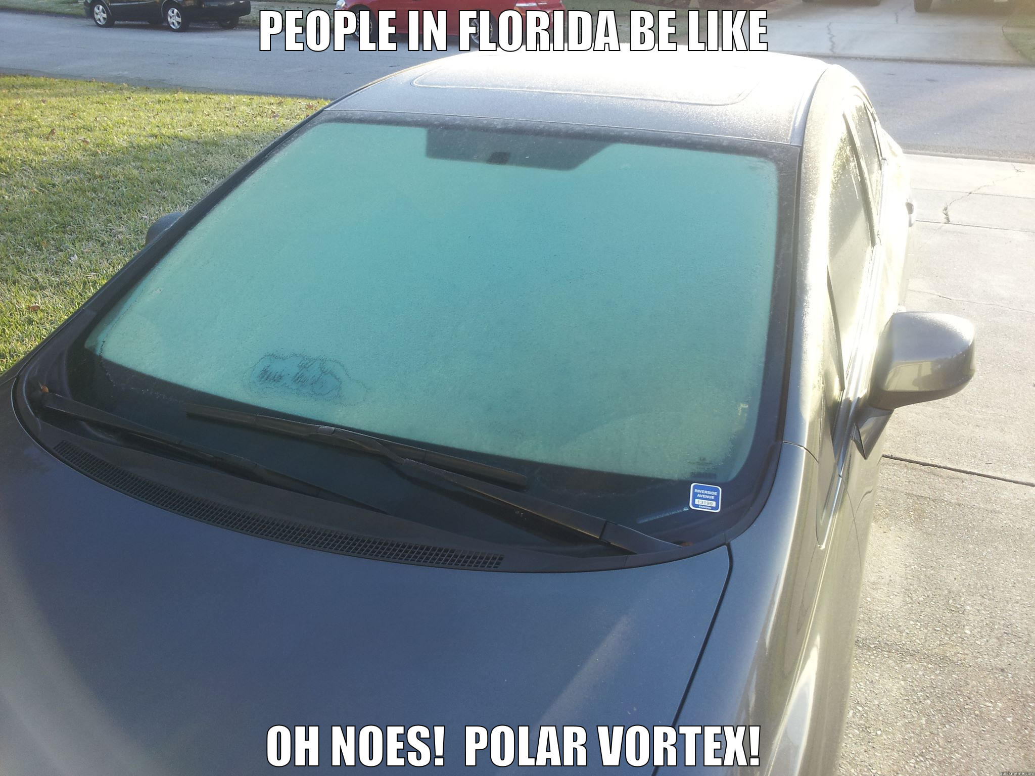 PEOPLE IN FLORIDA BE LIKE OH NOES!  POLAR VORTEX! Misc