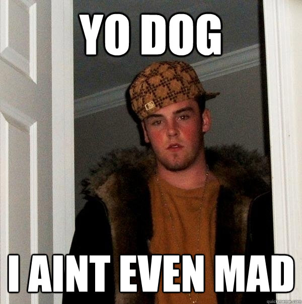 YO DOG I AINT EVEN MAD - YO DOG I AINT EVEN MAD  Scumbag Steve