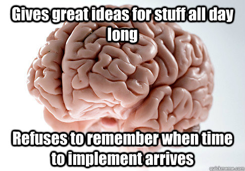 Gives great ideas for stuff all day long Refuses to remember when time to implement arrives  Scumbag Brain