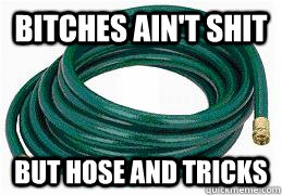 BITCHES AIN'T SHIT BUT HOSE AND TRICKS - BITCHES AIN'T SHIT BUT HOSE AND TRICKS  hoes