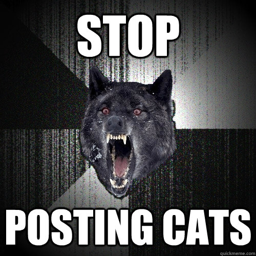 STOP POSTING CATS  Insanity Wolf