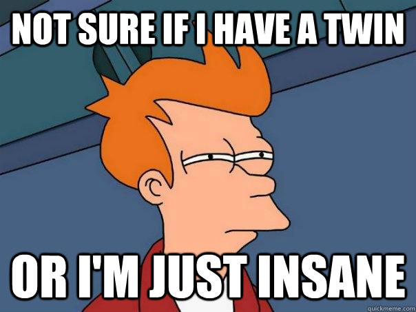 Not sure if i have a twin Or I'm just insane - Not sure if i have a twin Or I'm just insane  Futurama Fry