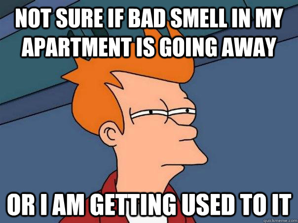 not sure if bad smell in my apartment is going away or i am getting used to it  Futurama Fry