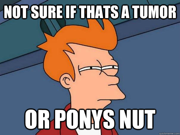 Not sure if thats a tumor OR Ponys nut  Futurama Fry